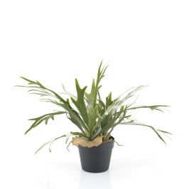 Kunstplant staghorn varen 51 cm