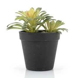 Kunst vetplant met pot 16,5 cm