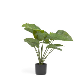 Kunstplant alocasia 57 cm